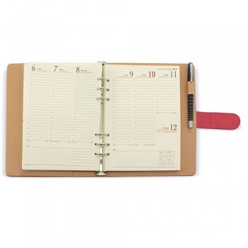 15300Z-AGENDA-quotREIMSquot-PIERRE-CARDIN