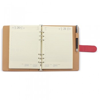 15300Z-AGENDA-quotREIMSquot-PIERRE-CARDIN-DIAPAGINA