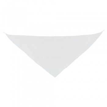 139T-PANOLETA-TRIANGULAR-EXTRAGRANDE