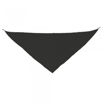 139T-PANOLETA-TRIANGULAR-EXTRAGRANDE