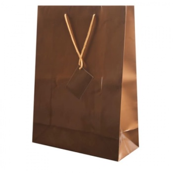 1462T-BOLSA-REGALO-PAPEL-PLASTIFICADO