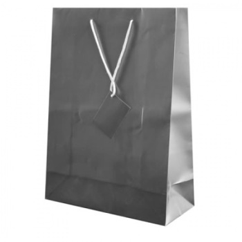 1462T-BOLSA-REGALO-PAPEL-PLASTIFICADO